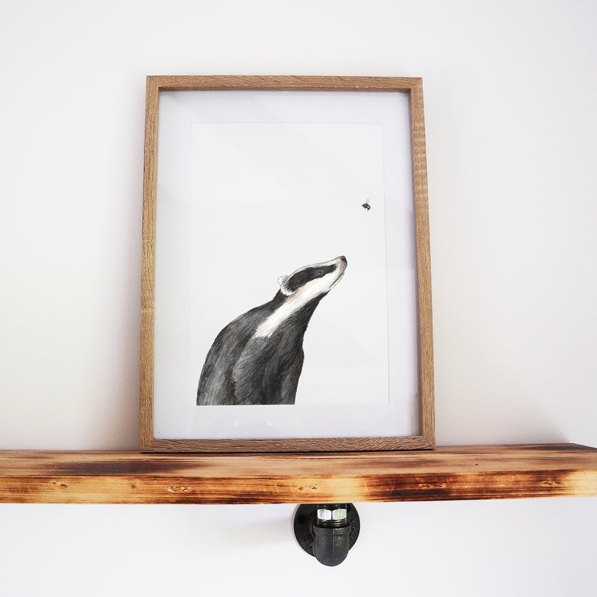 A Curious Encounter: Badger