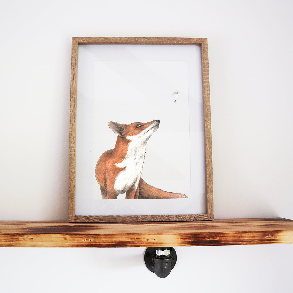 A Curious Encounter: Fox