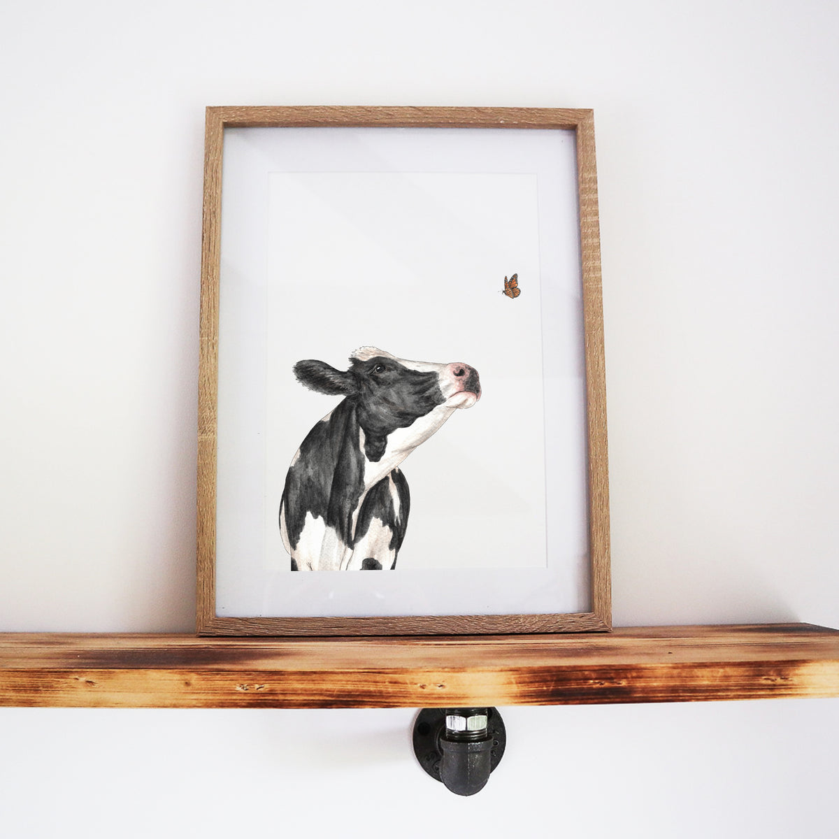 A Curious Encounter: Cow