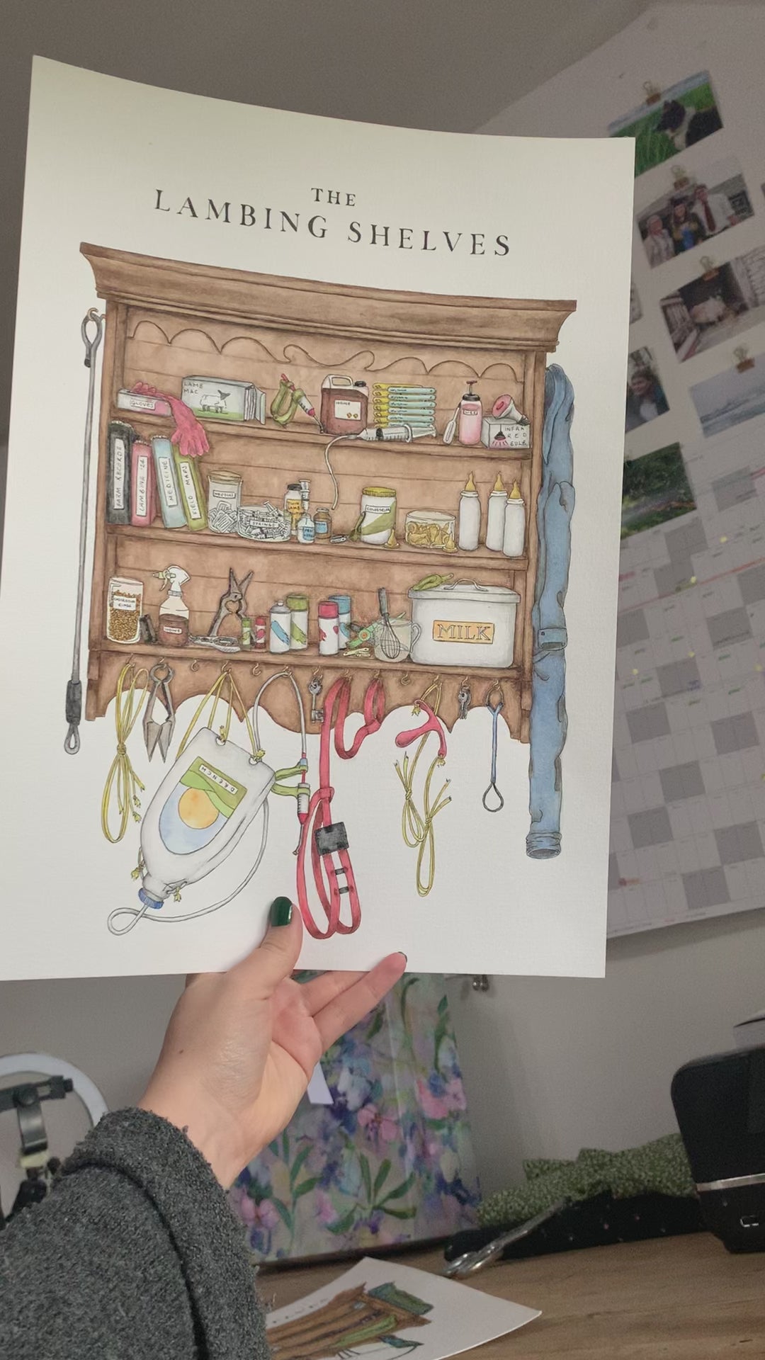 The Lambing Shelves Print