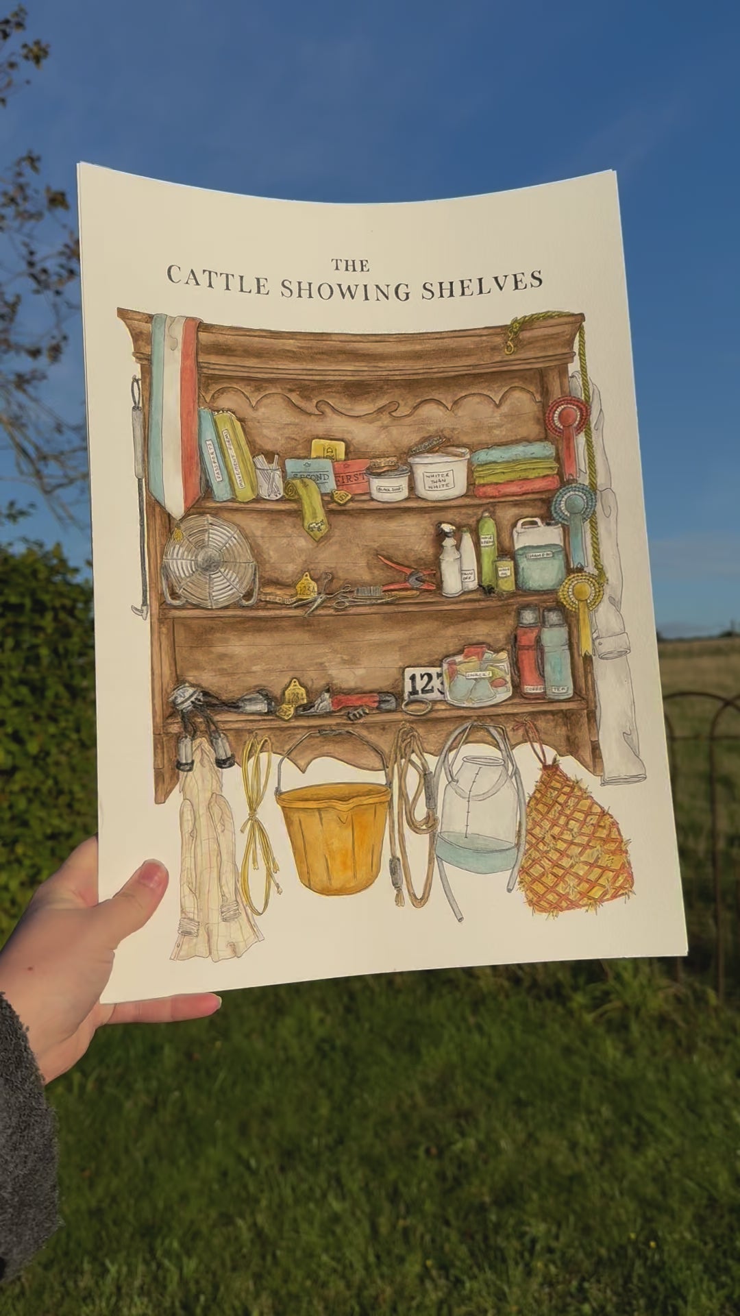 The Cattle Showing Shelves Print