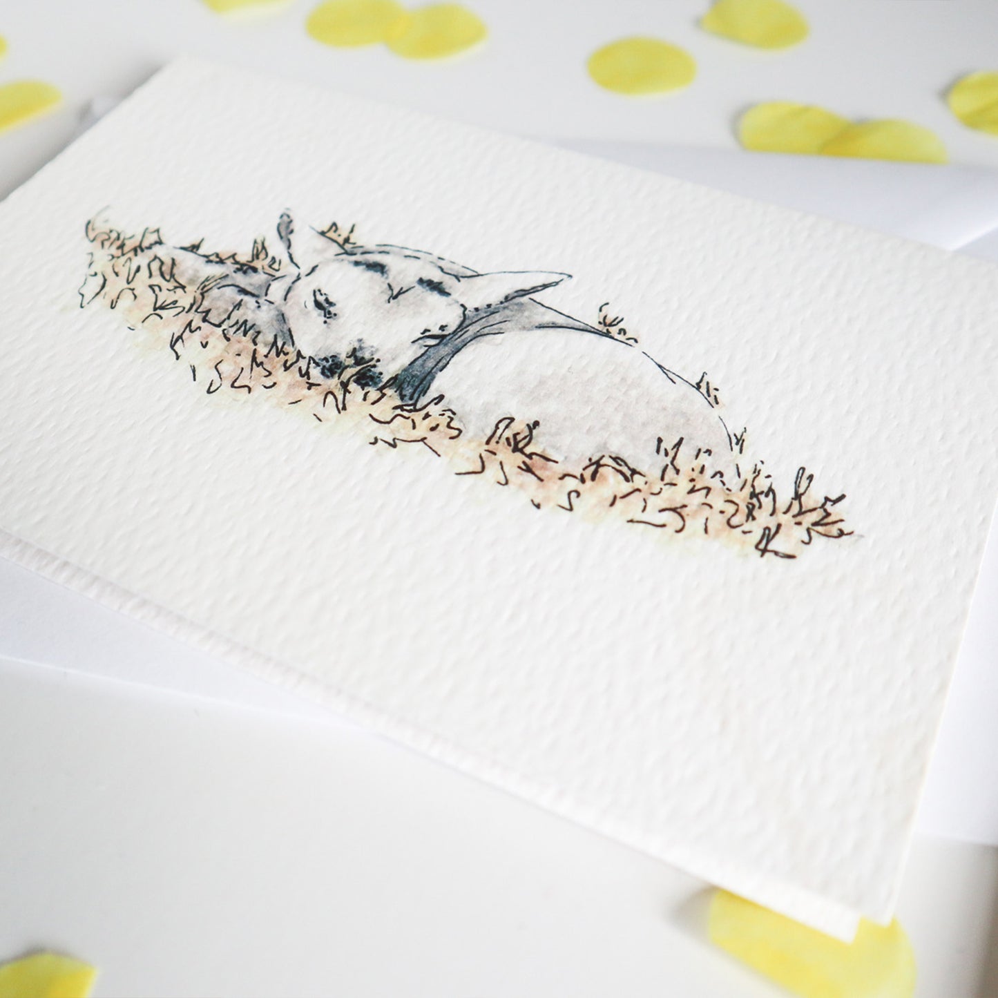 Little Lamb Card