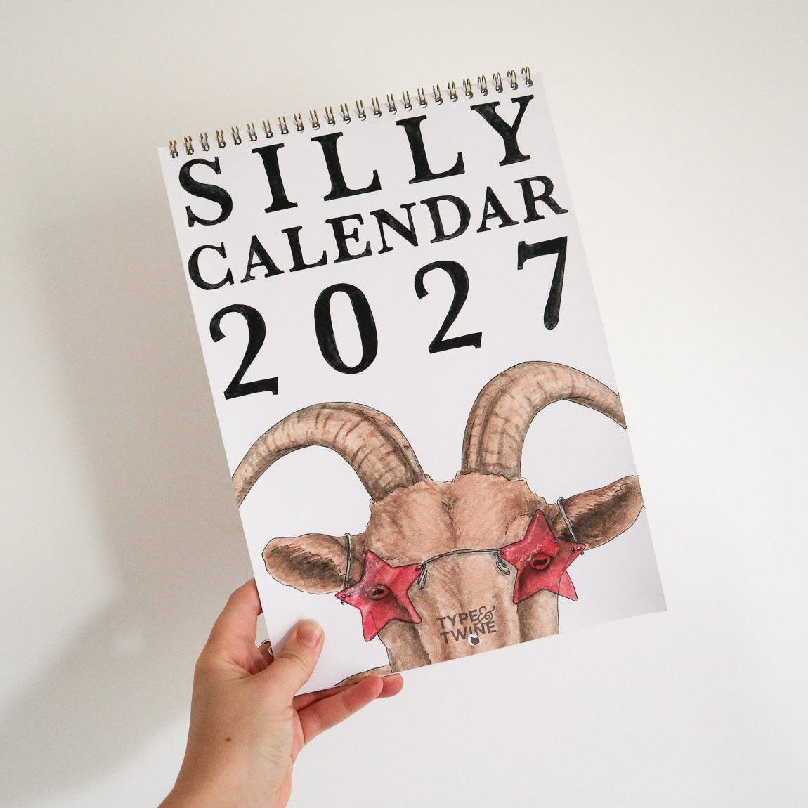 Silly 2027 Calendar