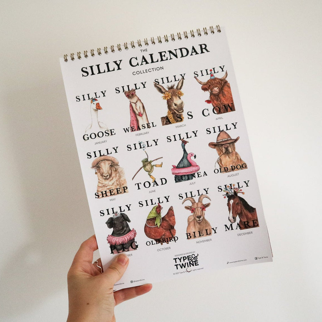 Silly 2027 Calendar