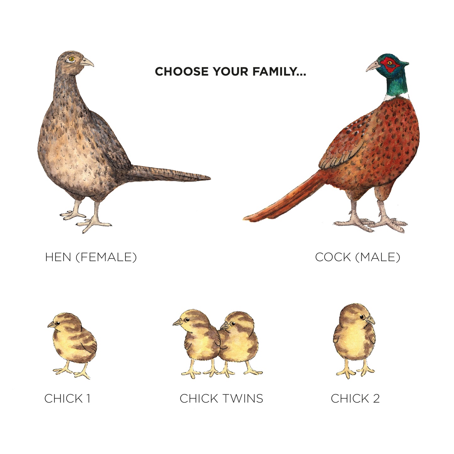 Pheasant Family Personalised Print