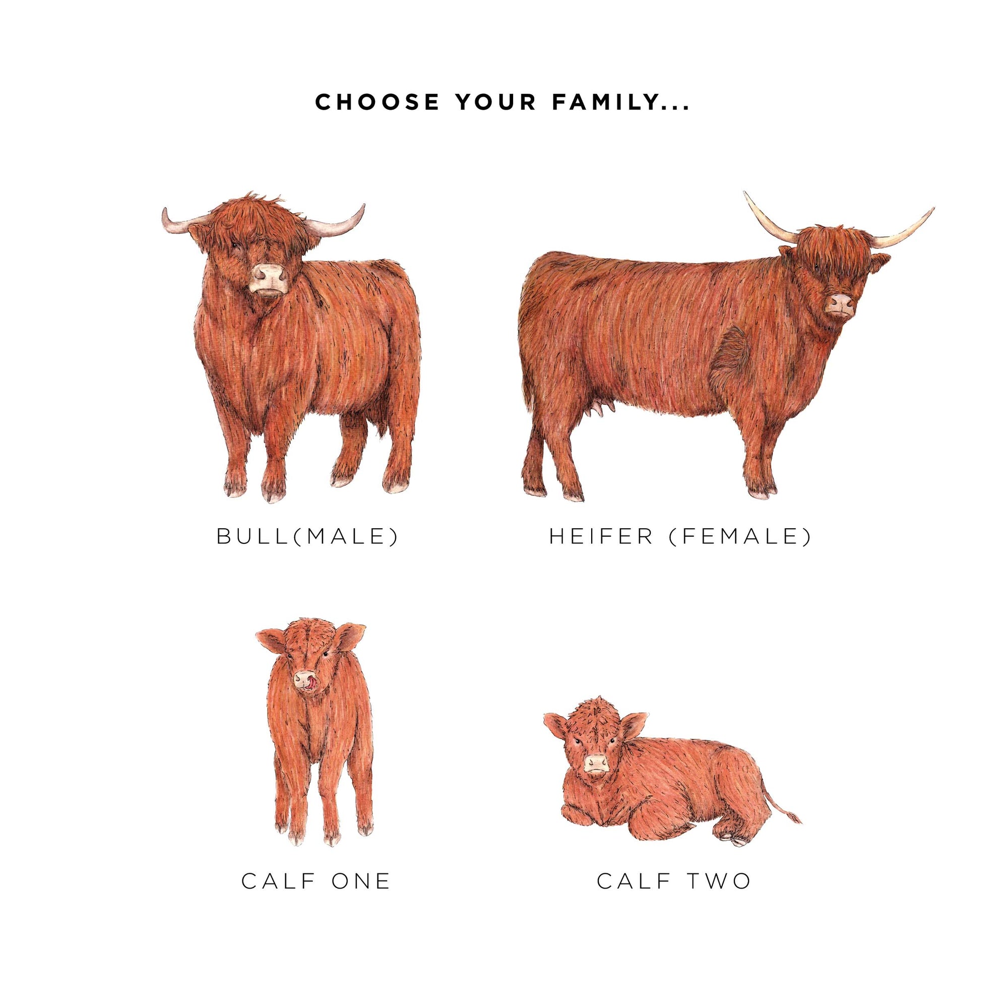 Highland Cow Family Personalised Print