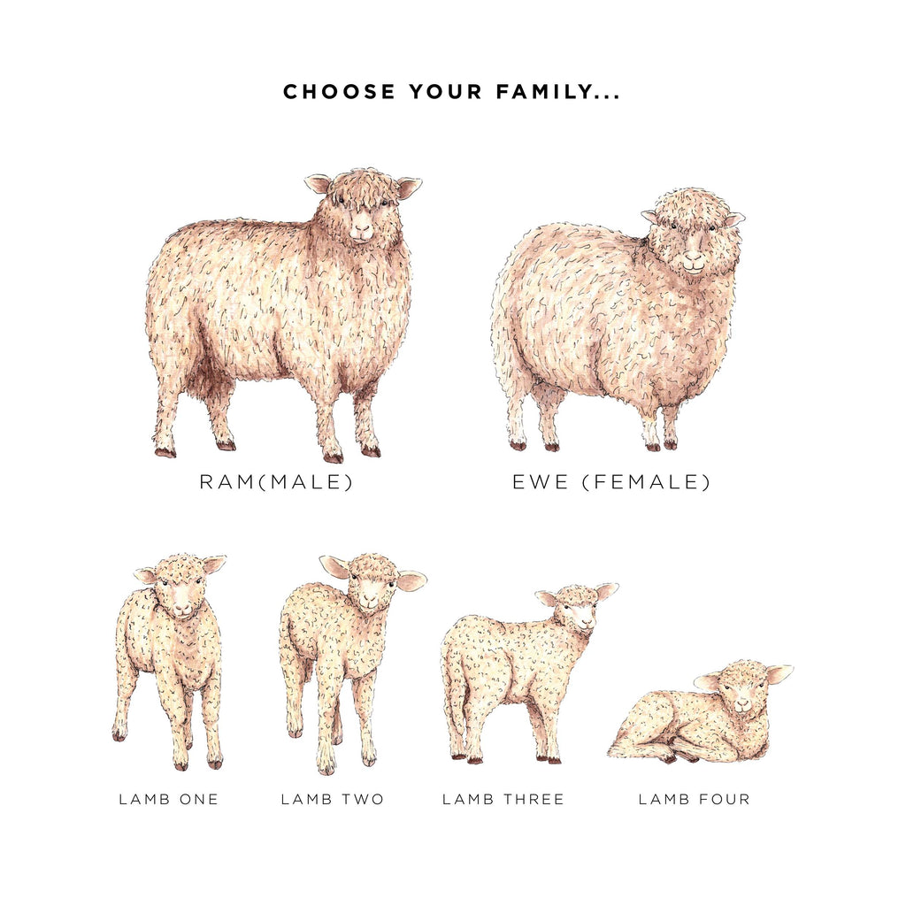 Cotswold Sheep Family Personalised Print