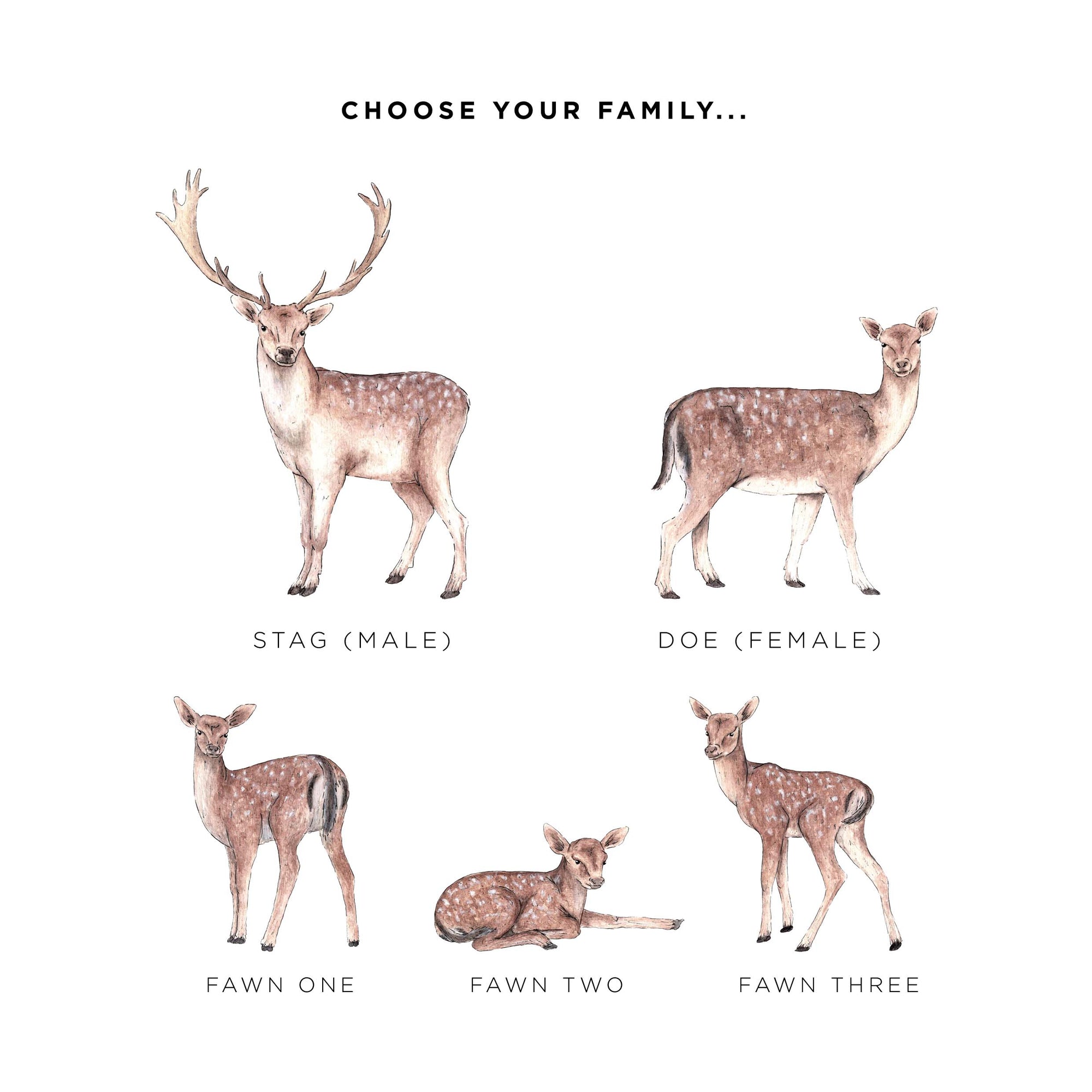 Fallow Deer Family Personalised Print