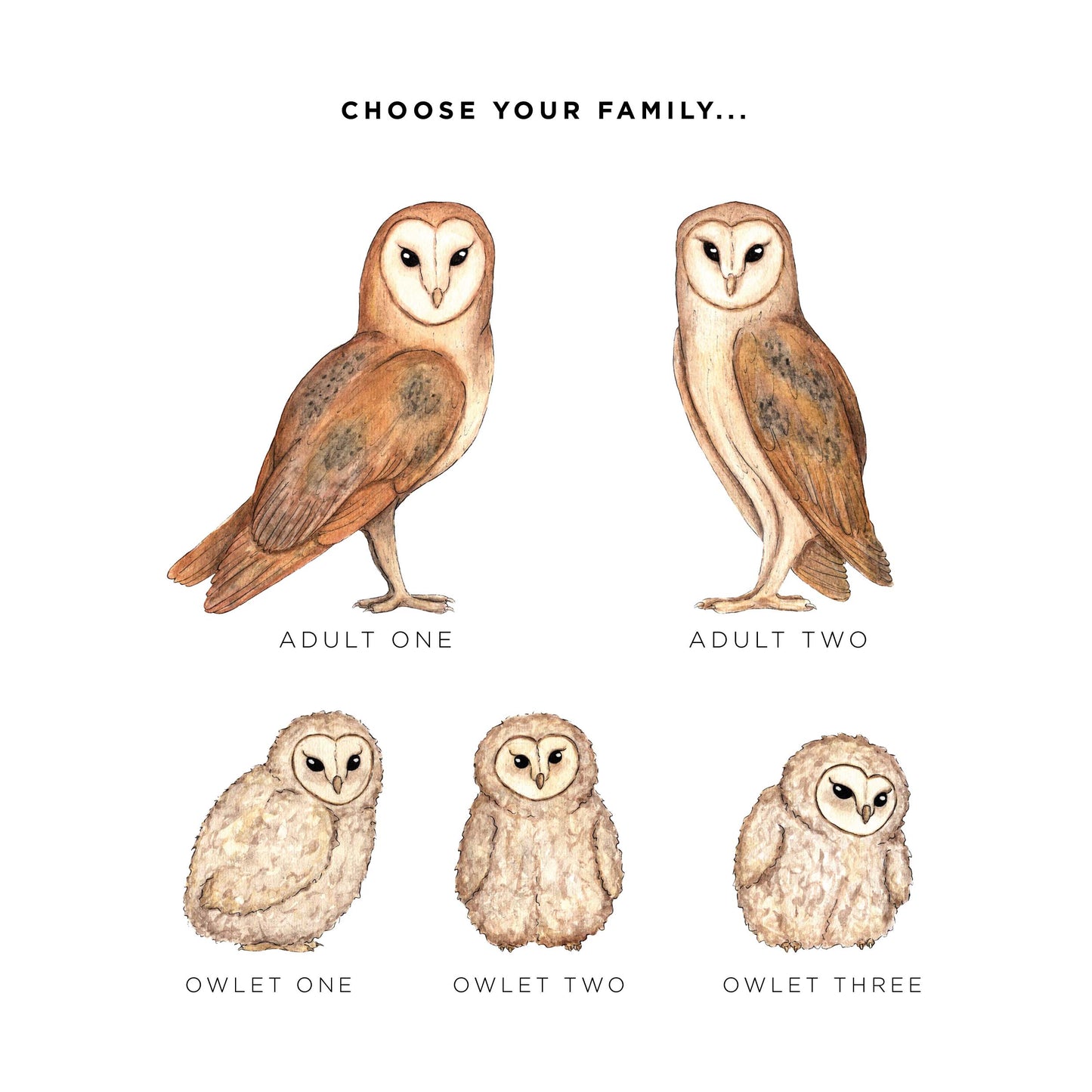 Barn Owl Family Personalised Print