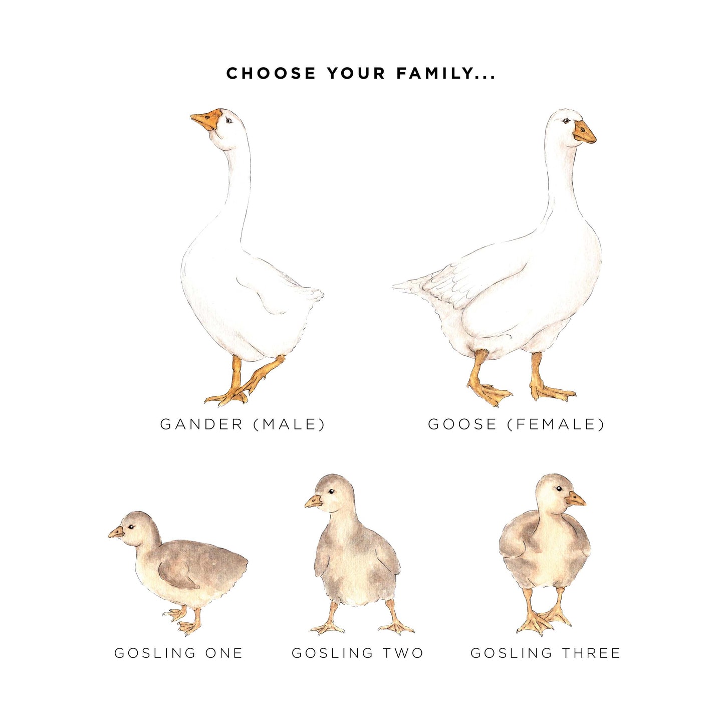 Goose Family Personalised Print