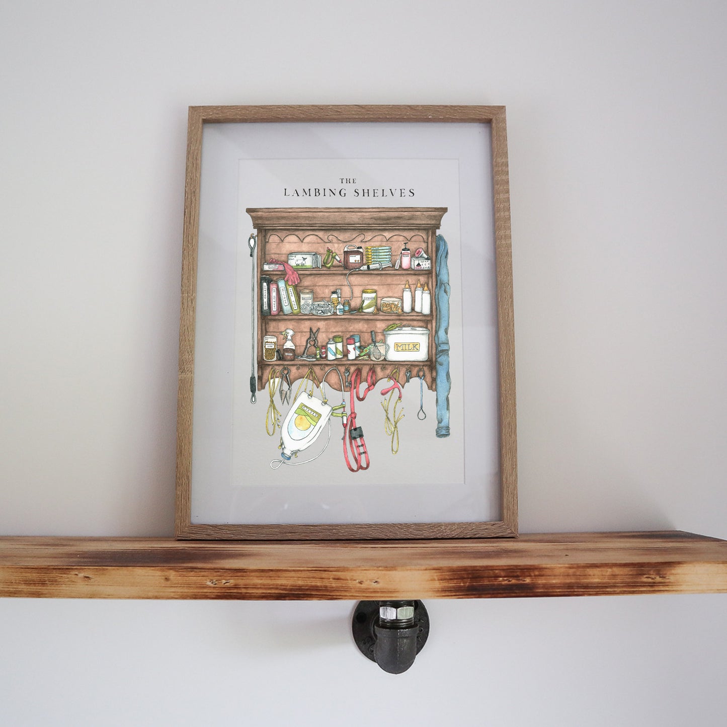 The Lambing Shelves Print