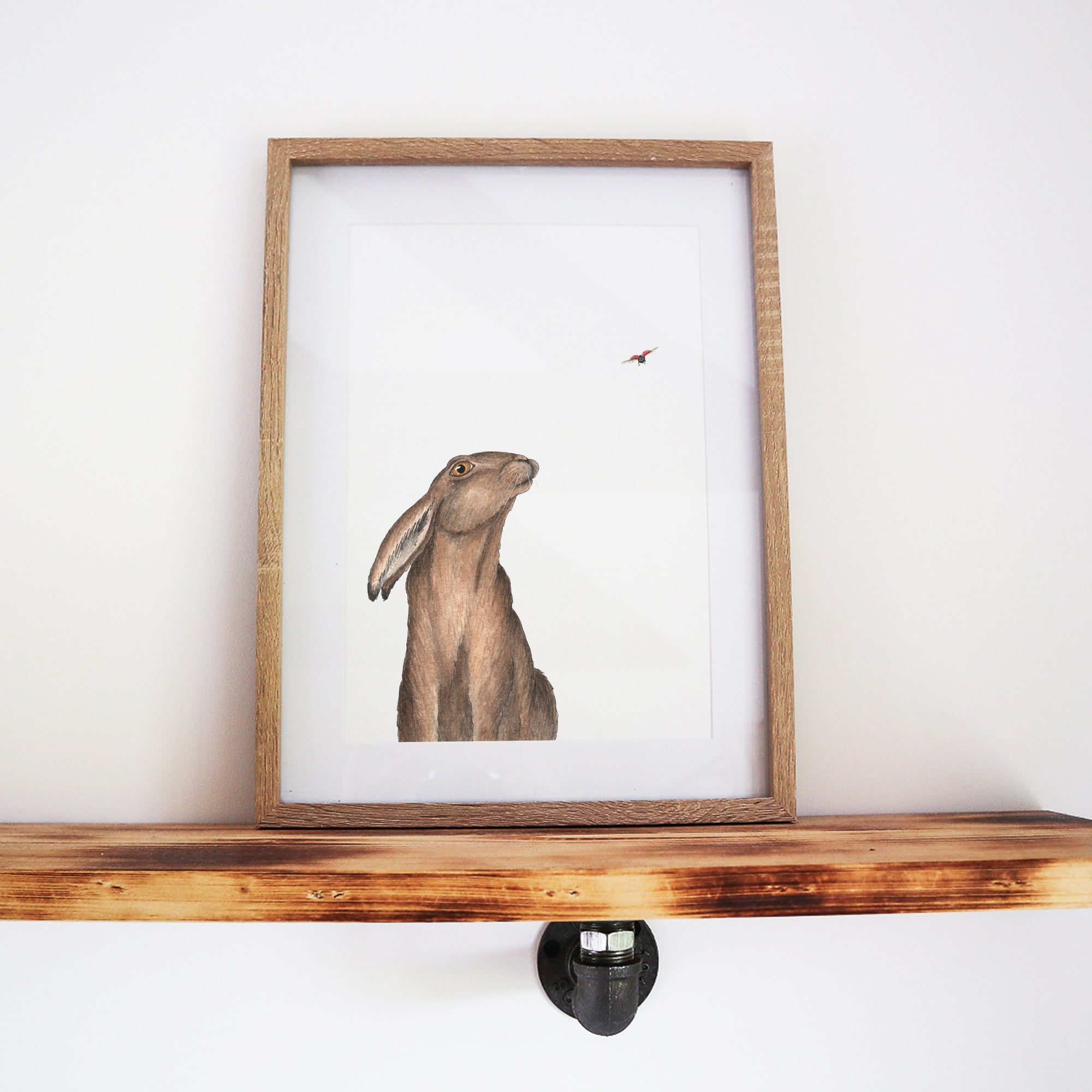 A Curious Encounter: Hare