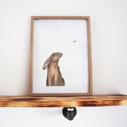 A Curious Encounter: Hare