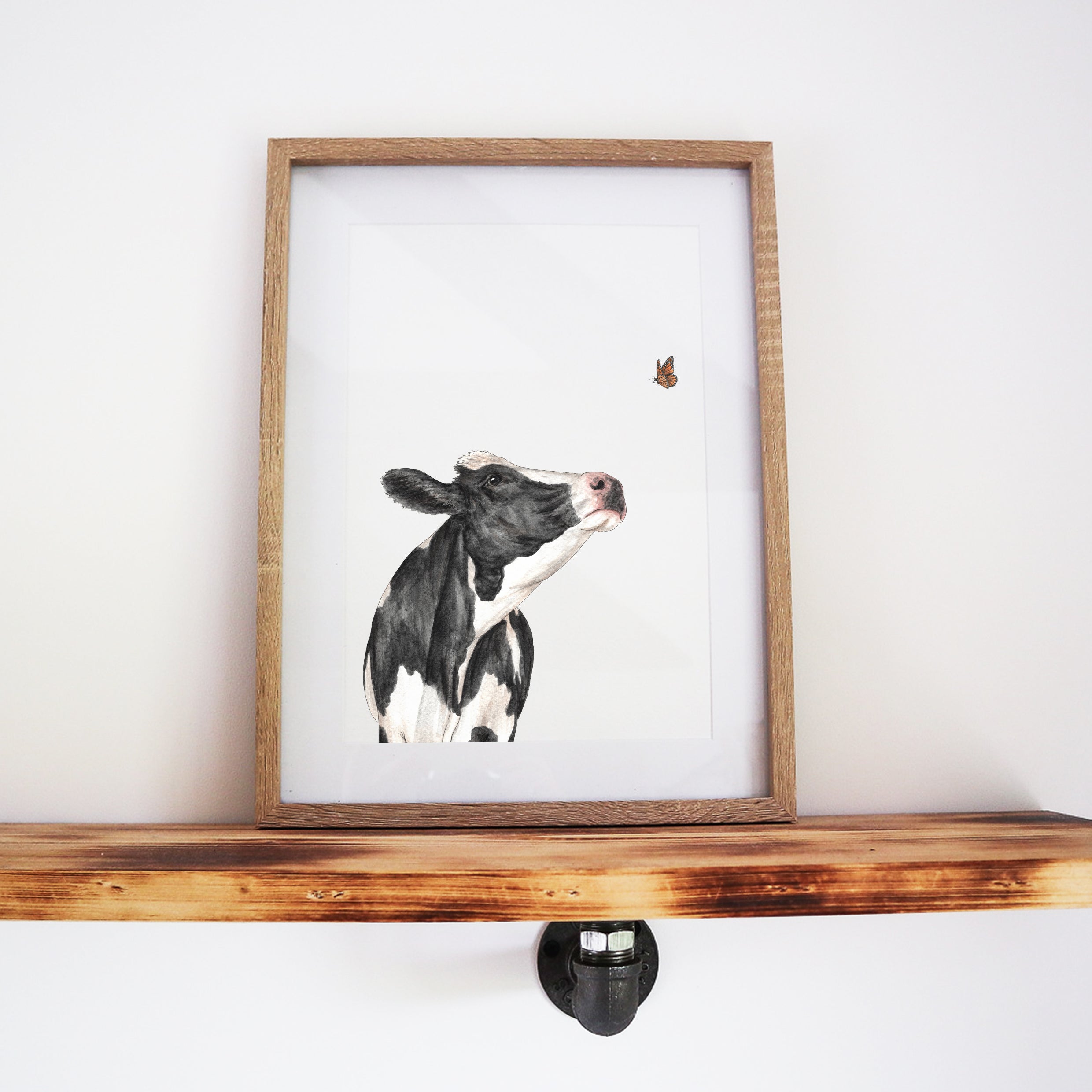 A Curious Encounter: Cow