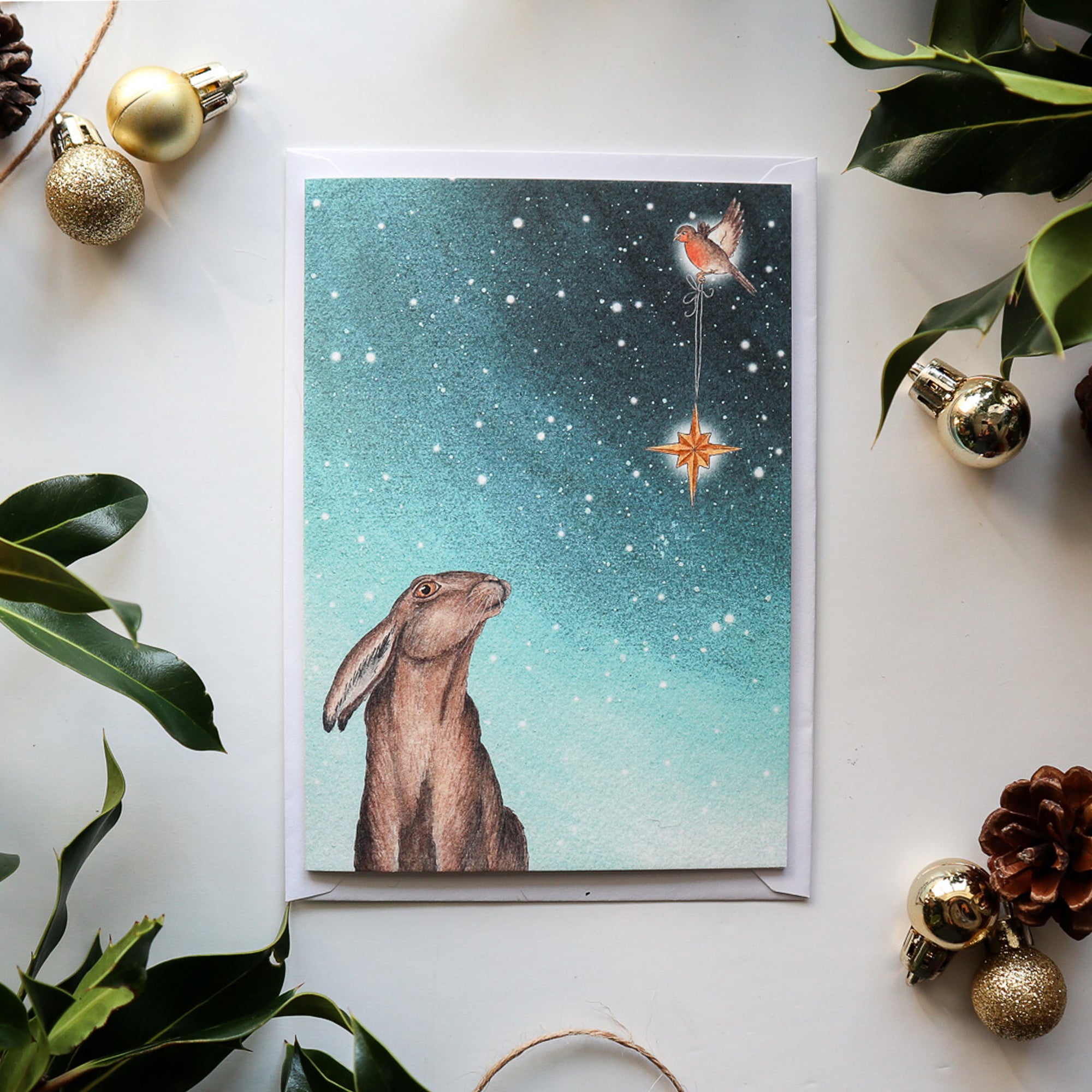 Watching the North Star : Wildlife Card Pack