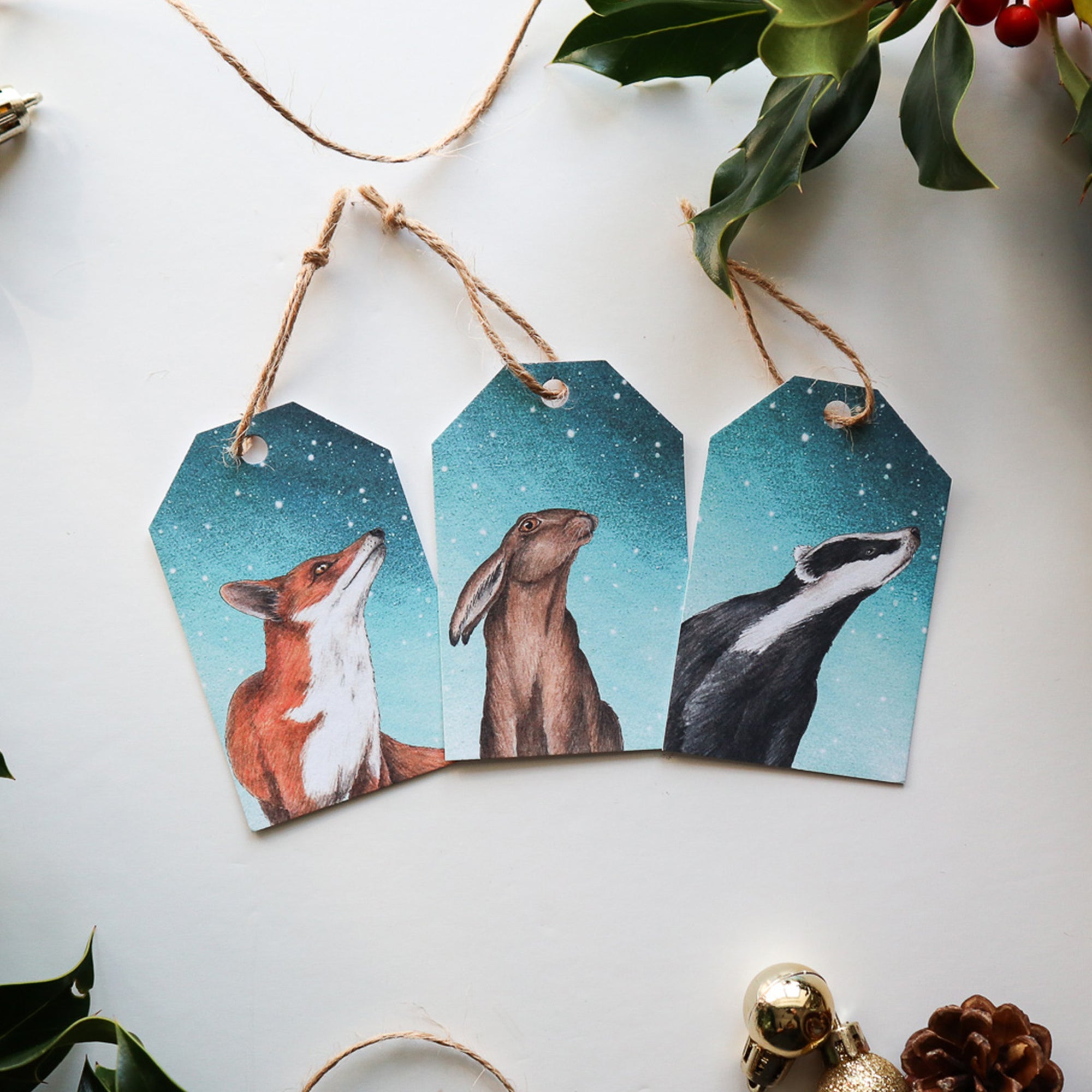 Watching the North Star : Wildlife Gift Tags