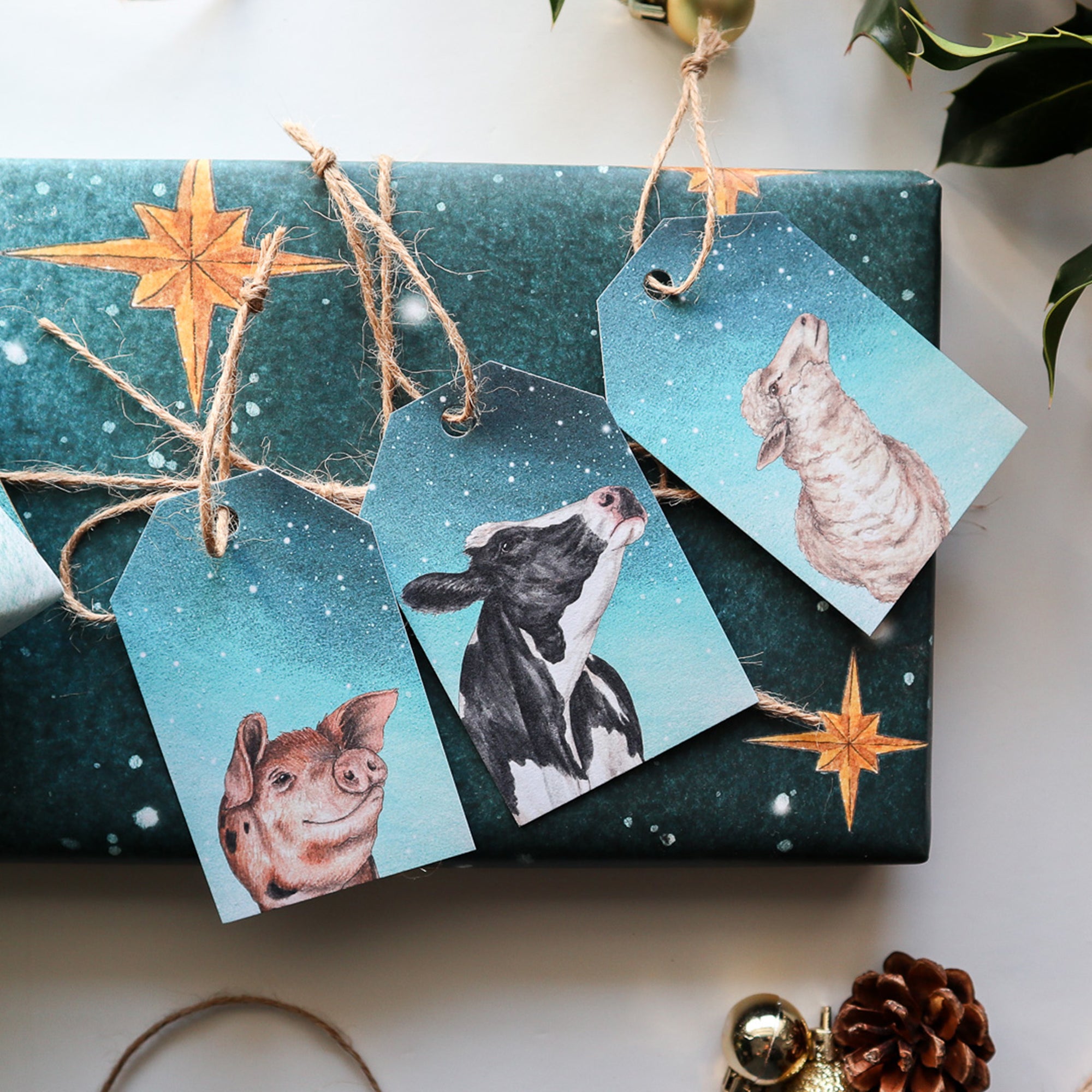Gift Bundle | Watching the North Star: Farm