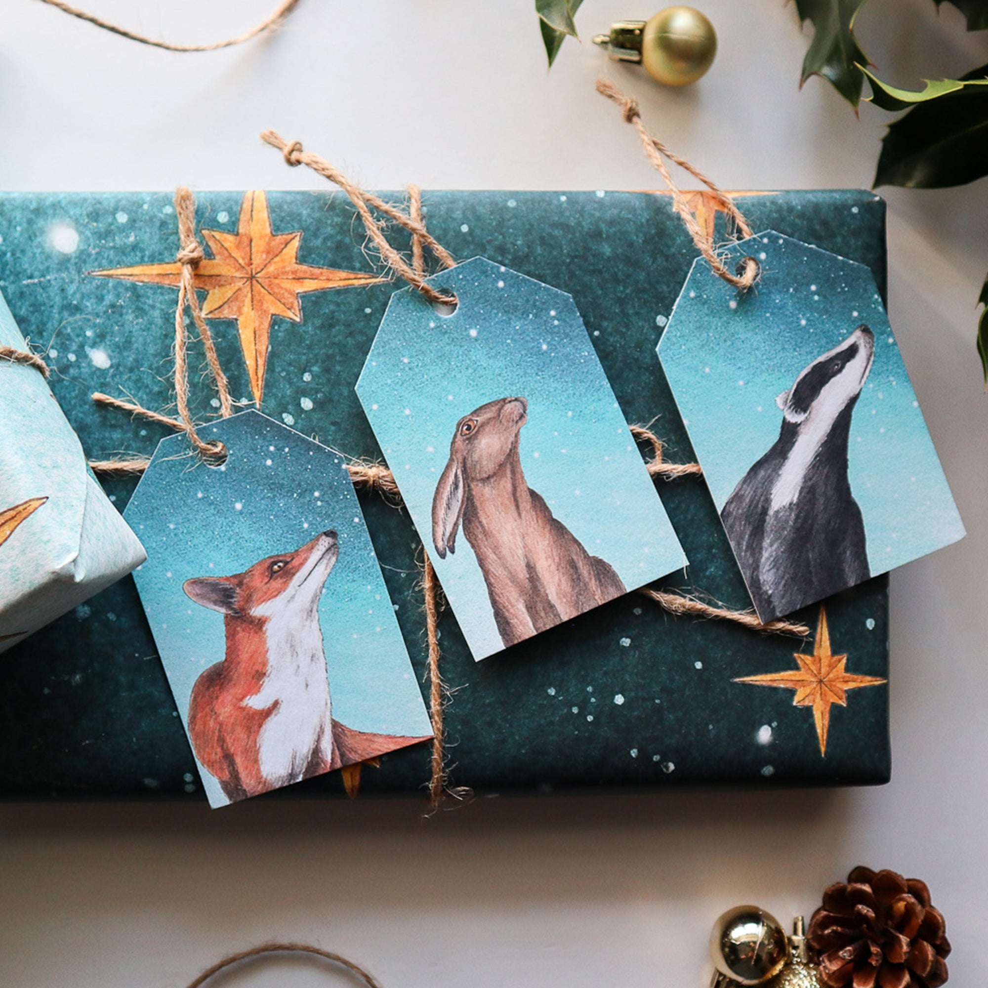 Gift Bundle | Watching the North Star: Wildlife