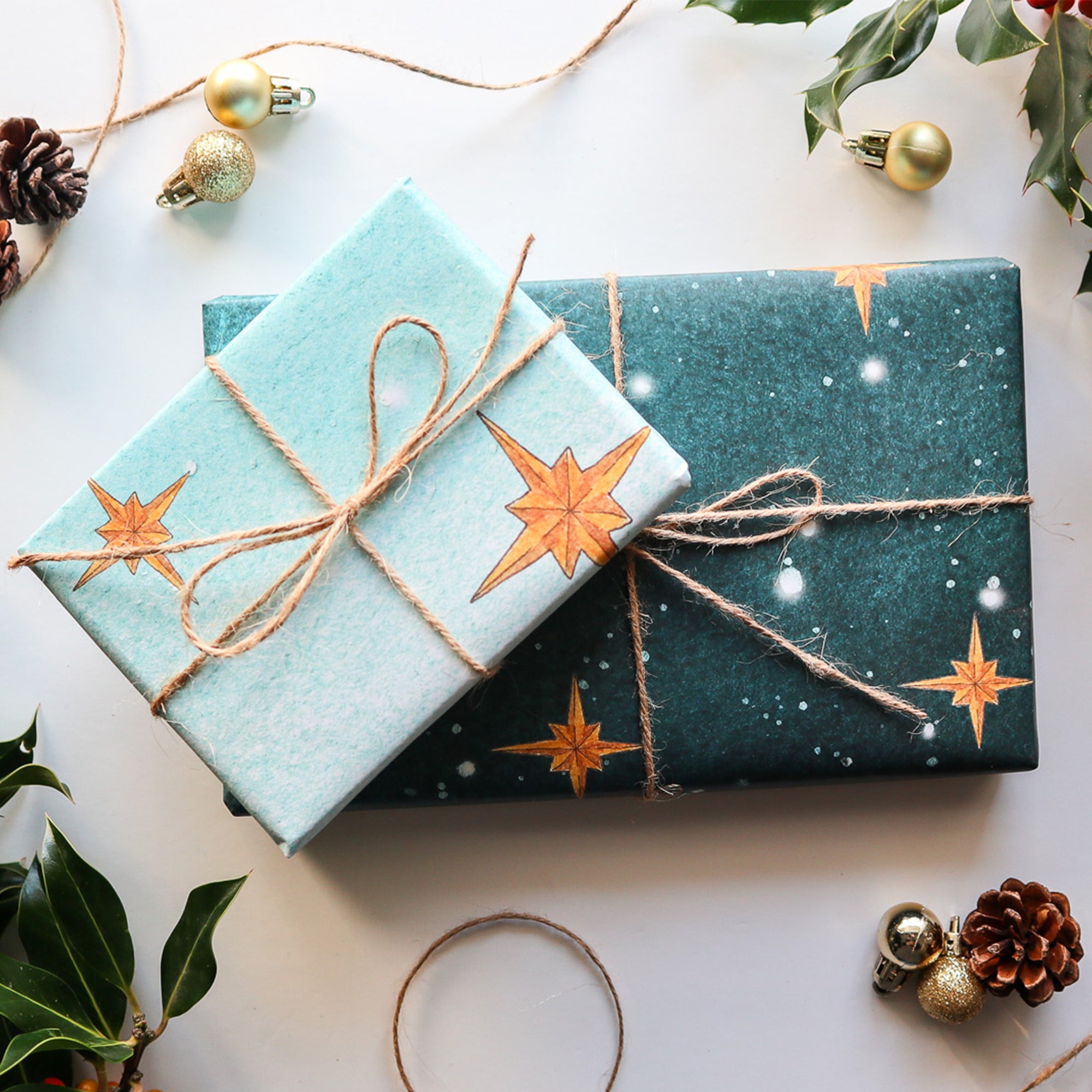 Gift Bundle | Watching the North Star: Farm